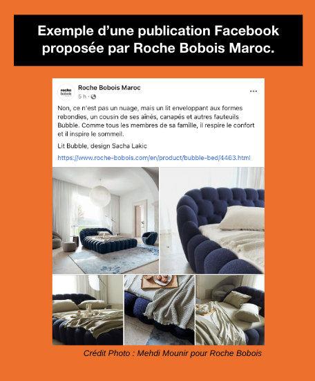 cap écran roche bobois success story fr