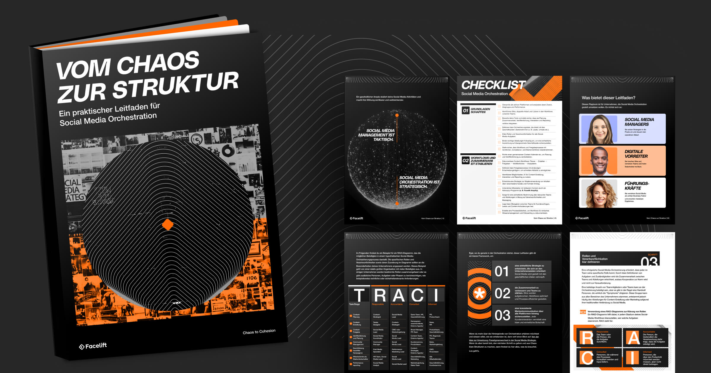 DE-Chaos-to-Cohesion-Landing-Page-Image-Header