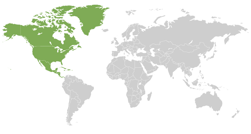 north-america-asia-world-map